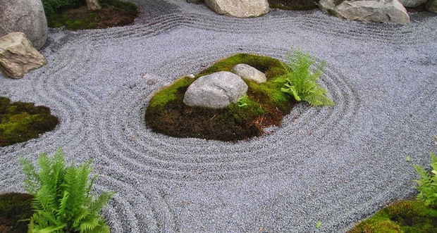Декоративный пруд с водными лилиями: нежность и красота на воде